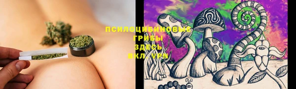 2c-b Кукмор