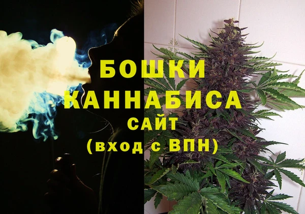 2c-b Кукмор