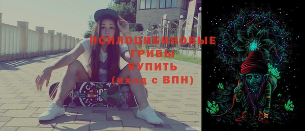 шишки Куйбышев