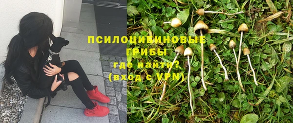 mdpv Кулебаки