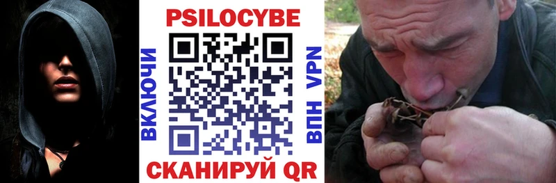 Галлюциногенные грибы Cubensis  Купить закладки  Высоцк 